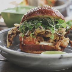 Top Paddock張用戶圖片