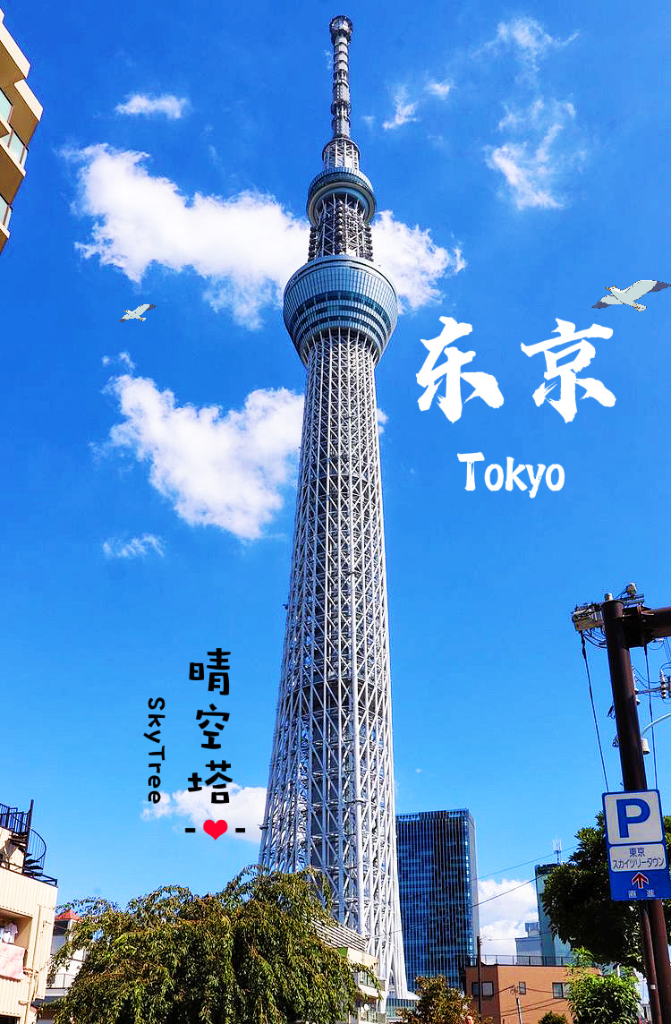 東京スカイツリーのレビュー 東京スカイツリーのチケット 東京スカイツリーの割引 東京スカイツリーの交通機関 所在地 営業時間 東京スカイツリー周辺の観光スポット ホテル グルメ Trip Com