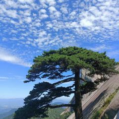 峡谷土菜馆 User Photo