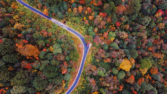 Longcanggou National Forest Park