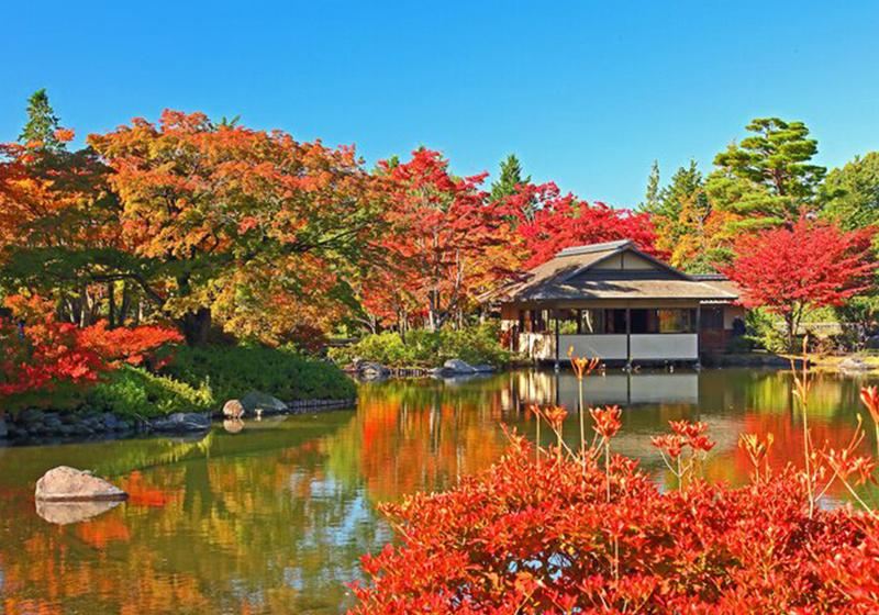 【東京紅葉 2026】最佳觀賞時間&人氣賞楓景點推介！附關東紅葉攻略