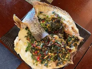 曼飞龙