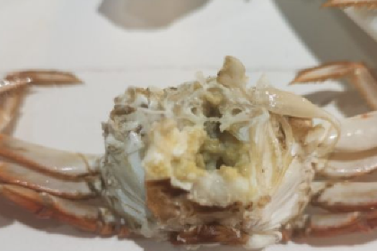 Xiaomianyang Hot Pot (xinhualu)