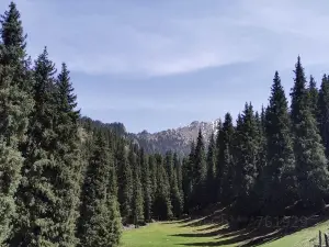 Cheshi Trail