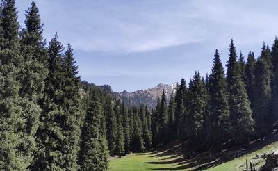 Cheshi Trail