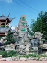 The Lake in the Bamboo Sea