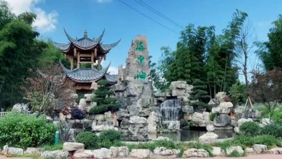 The Lake in the Bamboo Sea