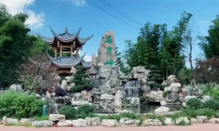 Hotels near The Lake in the Bamboo Sea