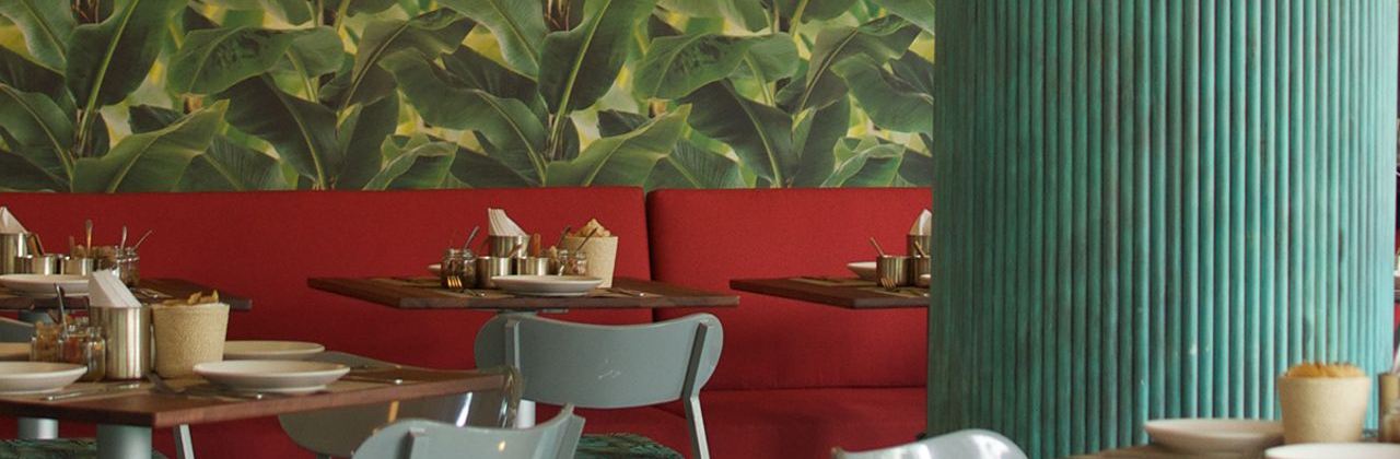 BelloPuerto - Polanco