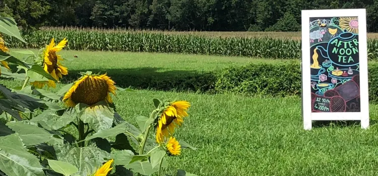 The Bed and Breakfast at Peace Hill