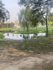 Gudu Park