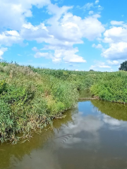 Buczyniec Slope