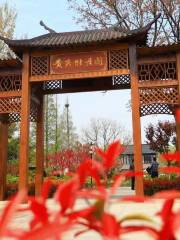 Huangjian Peony Garden