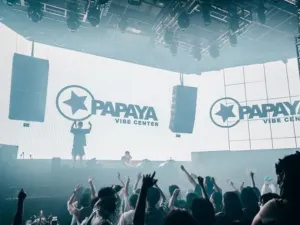 PAPAYA CLUB
