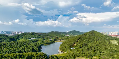 九峯國家森林公園