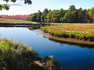 Rachel Carson National Wildlife Refuge