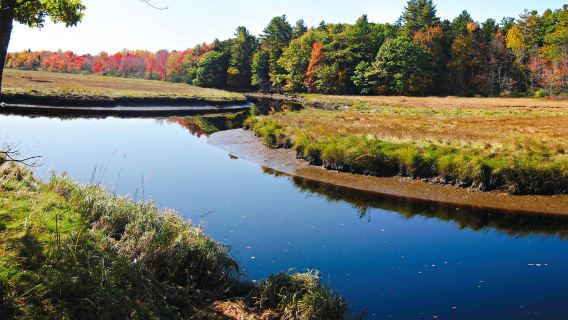 Rachel Carson National Wildlife Refuge