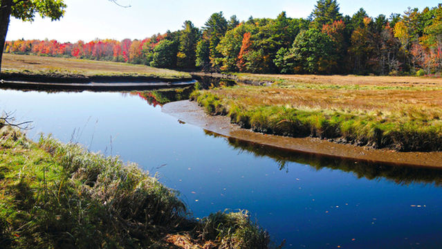 Rachel Carson National Wildlife Refuge