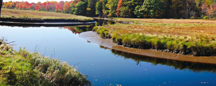 Rachel Carson National Wildlife Refuge