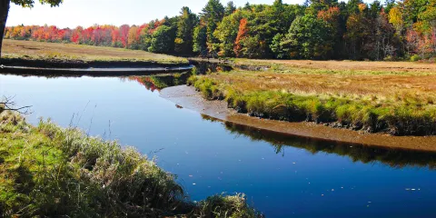 Rachel Carson National Wildlife Refuge