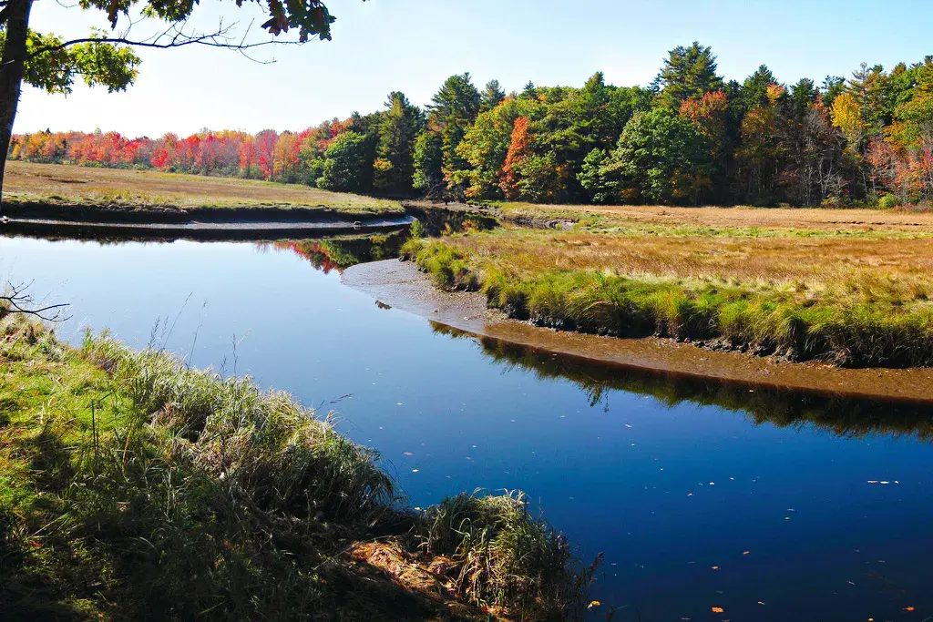 1_Rachel Carson National Wildlife Refuge