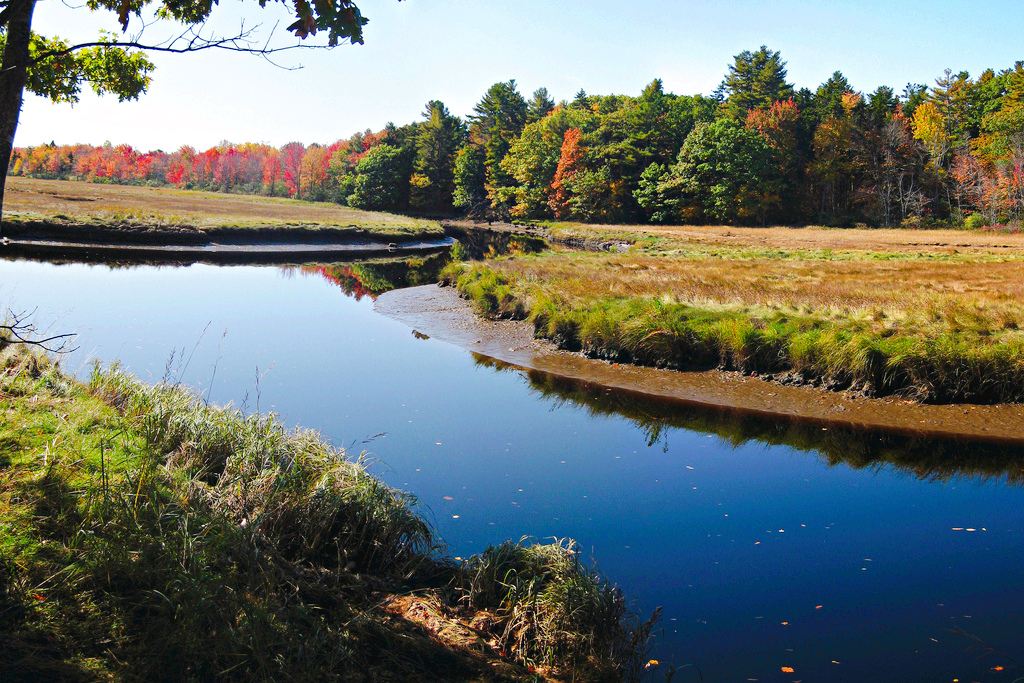 Rachel Carson National Wildlife Refuge