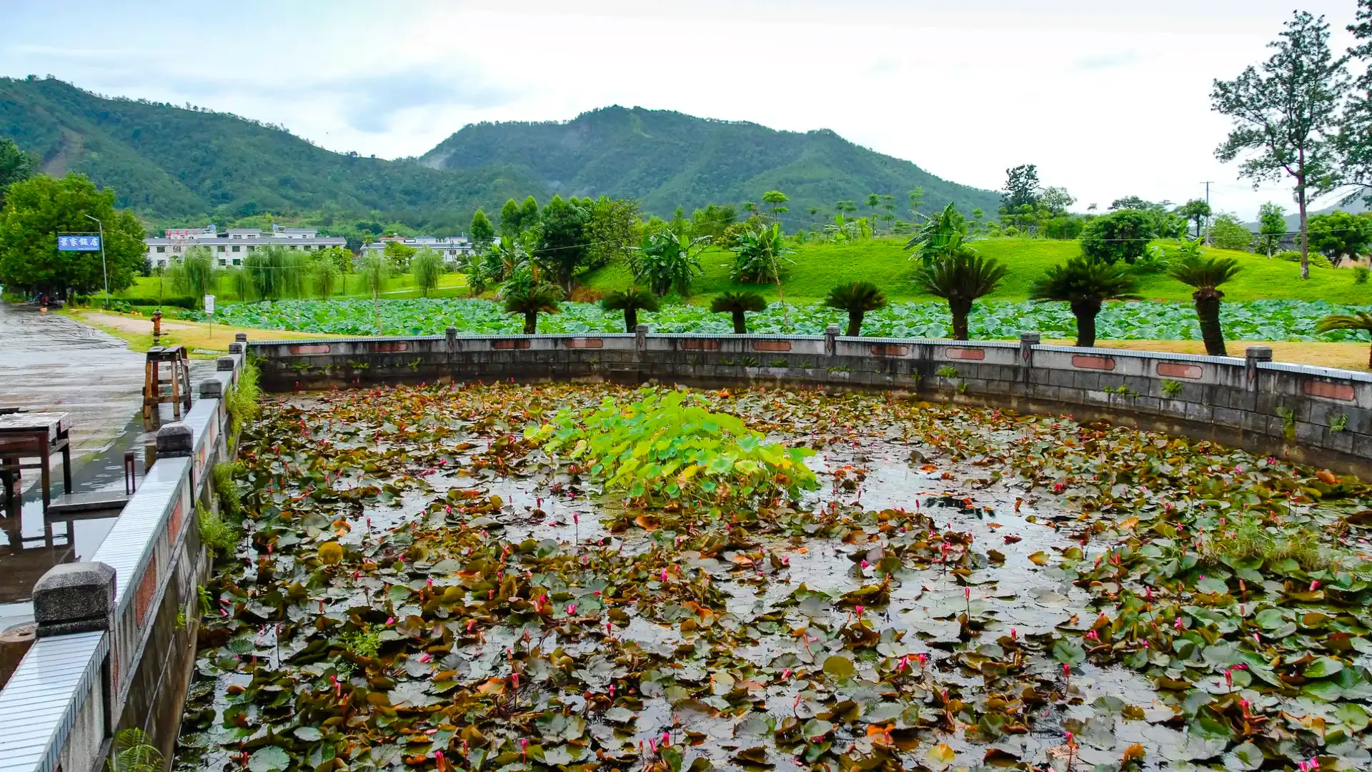 Hotel berhampiran Ye Jianying Memorial Park