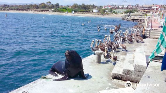 Caleta De Guanaqueros