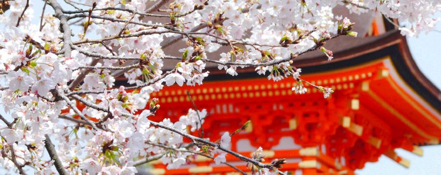 石清水八幡宮