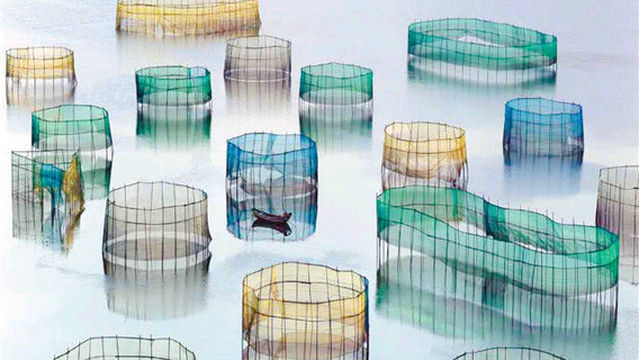 South Bay Oracle Scenic Area