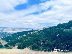 Santa Teresa County Park