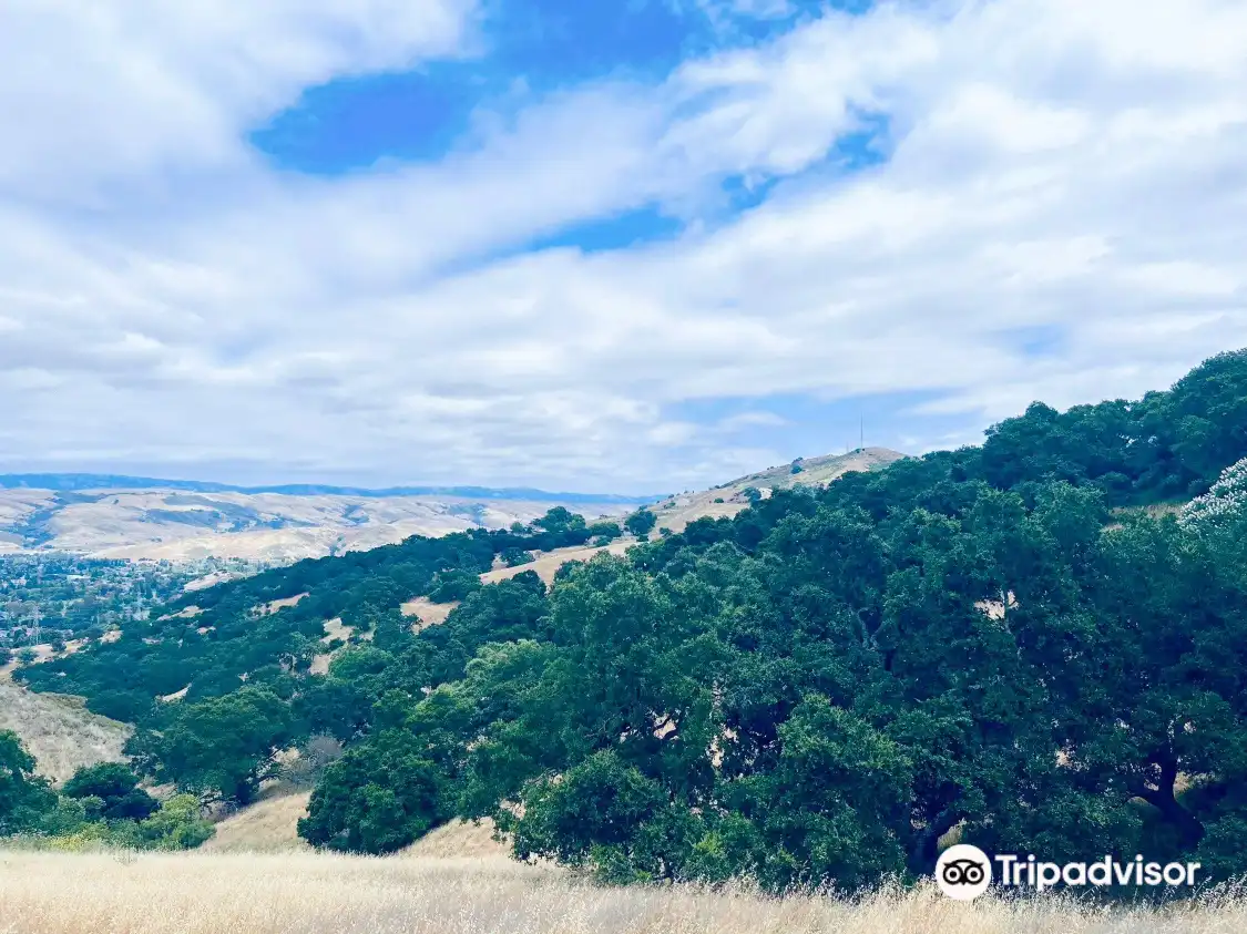 Hotels near Santa Teresa County Park
