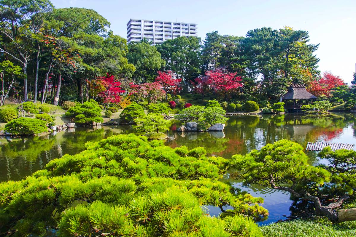 廣島紅葉 | 縮景園
