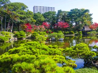 Hotels near Ibaraichi Station