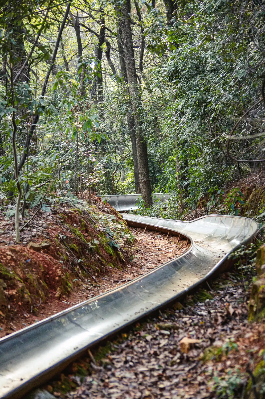 악록산 슬라이드 주변 호텔