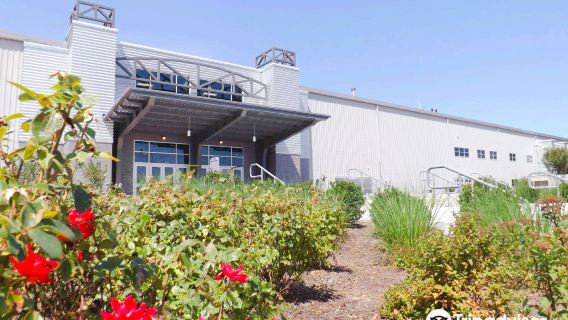 Spooky Nook Sports