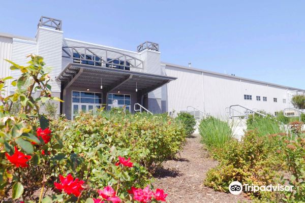 Spooky Nook Sports