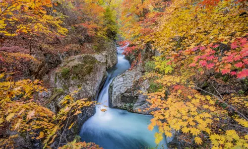 Dashihu Scenic Area
