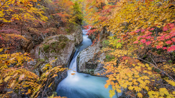 Пейзаж Великого Ши-Лука