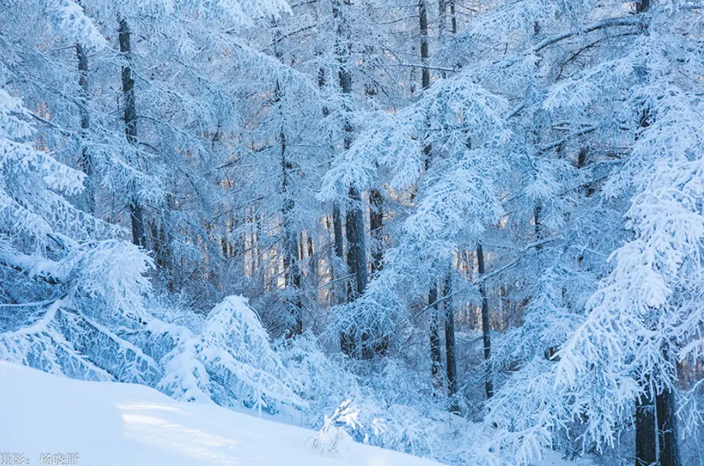 第二十屆阿爾山冰雪節 | 阿爾山