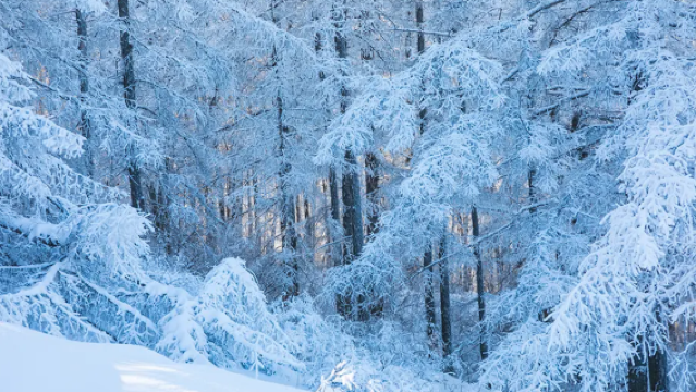 The 20th Arxan Ice and Snow Festival