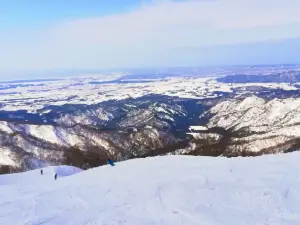 Ninox Snow Park