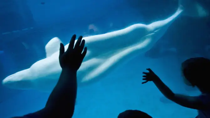 1_謝德水族館
