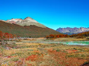 Parco nazionale Terra del Fuoco