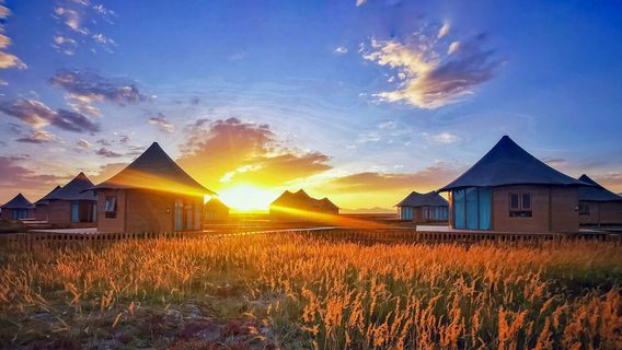 da chai dan guang ying zhi cheng jing qu