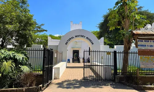 National Natural History Museum-ARUSHA