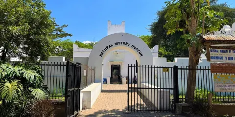 阿魯沙自然曆史博物館