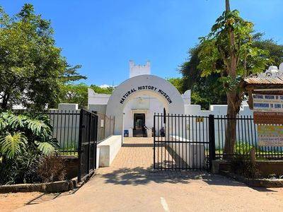 National Natural History Museum-ARUSHA