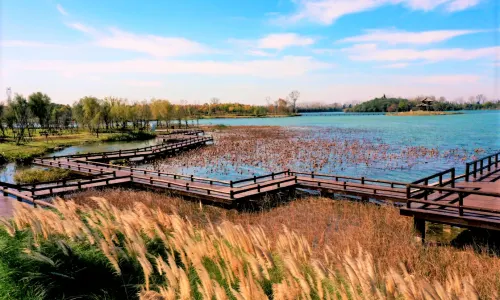 Yingzhou West Lake