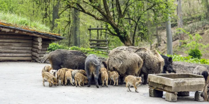 杜塞爾多夫天然公園